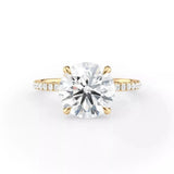 3 Carat Diamond Hidden Halo Engagement Ring, Pave Band