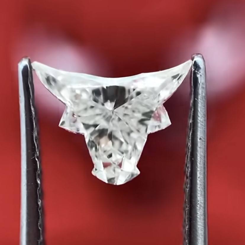 Laser - Cut Custom Fancy Diamonds - Exclusive Portrait & Precision - Cut Fancy Diamonds - Made to Order - Future Jewelry